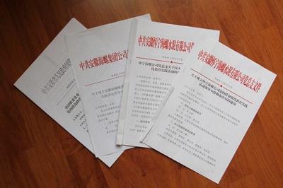 專業(yè)翻譯公司計算機技術開發(fā)領域文件翻譯流程